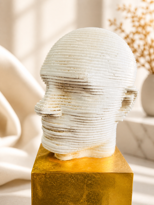 Abstract Face Resin Sculpture for Home Decor | Modern Artistic Tabletop Showpiece