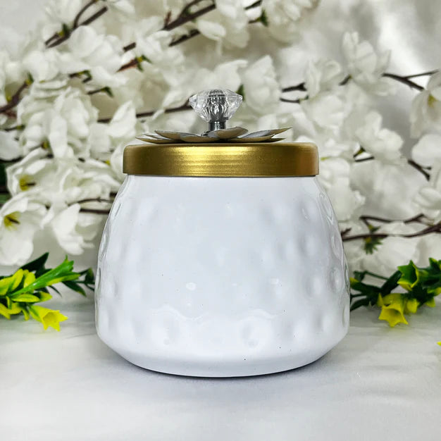 Buy Bulk Adorable Indian Dry Fruits Jar Box – Perfect Party Favors & Return Gifts