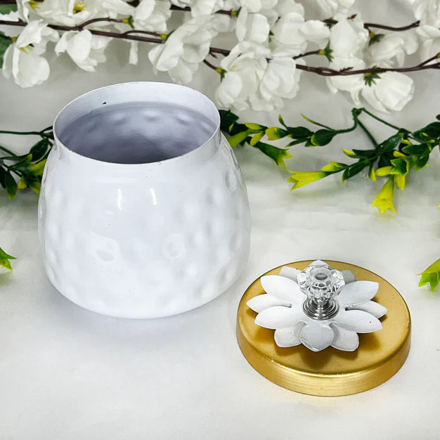 Buy Bulk Adorable Indian Dry Fruits Jar Box – Perfect Party Favors & Return Gifts