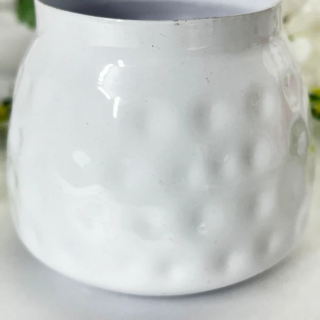 Buy Bulk Adorable Indian Dry Fruits Jar Box – Perfect Party Favors & Return Gifts