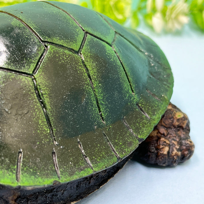 Handcrafted Turtle Showpiece | Decorative Tortoise Figurine for Home & Office